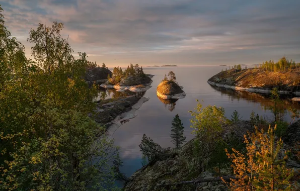 Picture trees, landscape, nature, stones, Lake Ladoga, Ladoga, Skerries