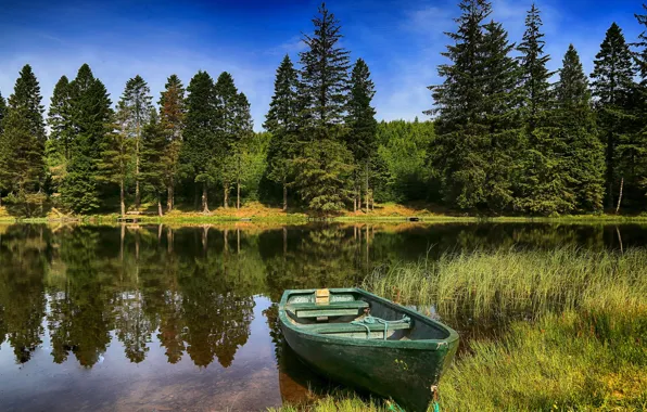 Picture forest, summer, trees, reflection, river, boat