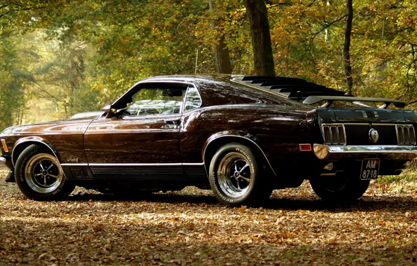 Picture auto, autumn, mustang, musclecar