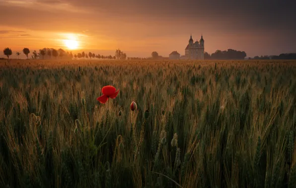 Field, sunset, Mac, the evening, Church