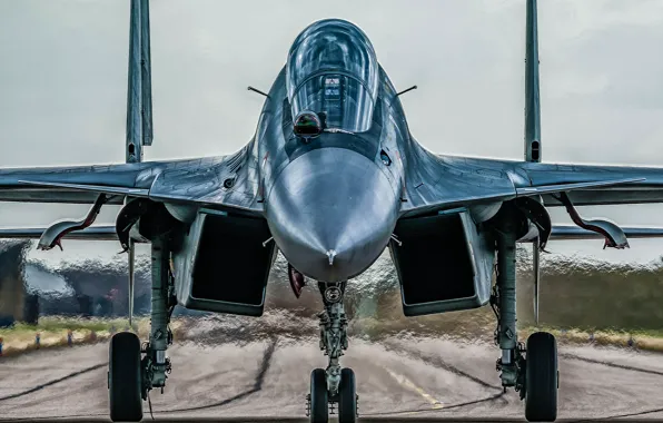 Picture fighter, plane, jet, RAF, Royal Air Force, aeroplane, military aviation, Sukhoi Su-30MKI