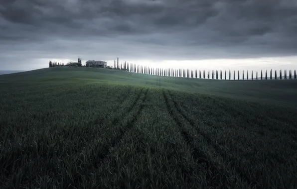 Picture field, nature, Tuscany