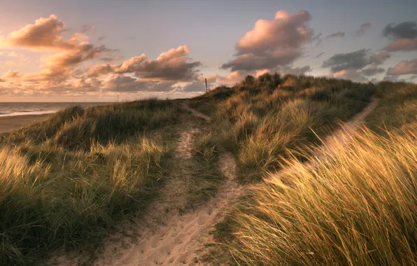 Sand, sea, grass, clouds, shore, treatment, Winterton Light