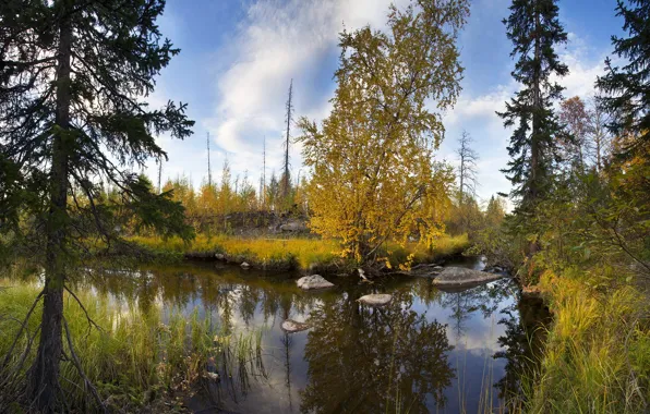 Picture autumn, the Arctic, Monchegorsk