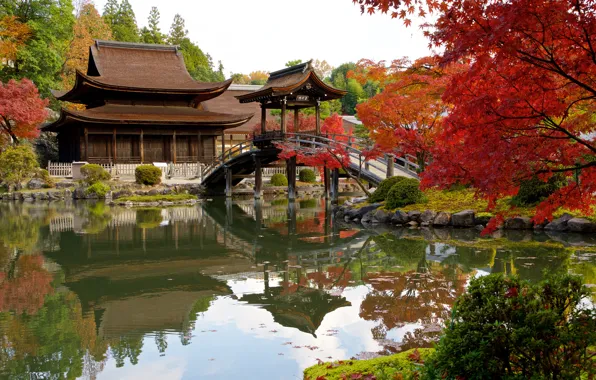 Roof, autumn, trees, comfort, lake, house, pond, style