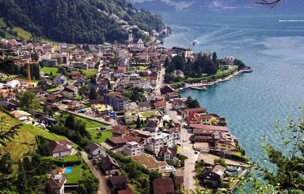Lake, shore, home, Switzerland, the view from the top, Lake Lucerne, Gersau