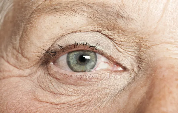 Picture eye, wrinkles, grandmother, elderly