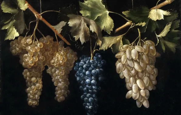 Picture, still life, Four Bunches Of Grapes, Juan Fernandez, El Labrador