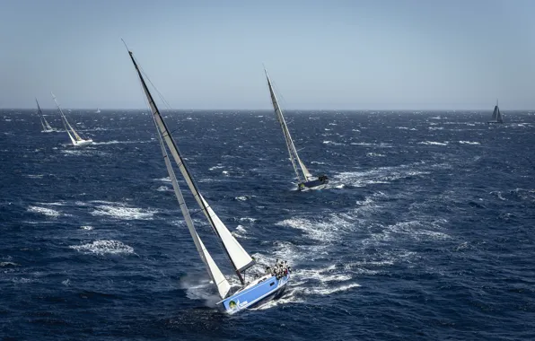 Picture sea, sport, yacht, regatta