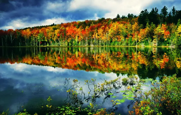 Autumn, forest, the sky, clouds, lake