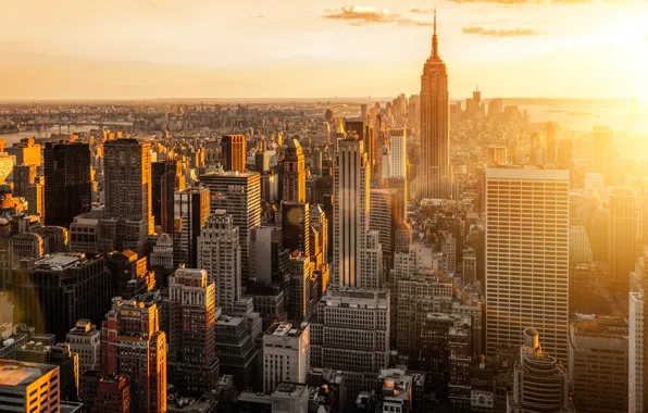 The city, dawn, view, building, home, New York, skyscrapers, morning