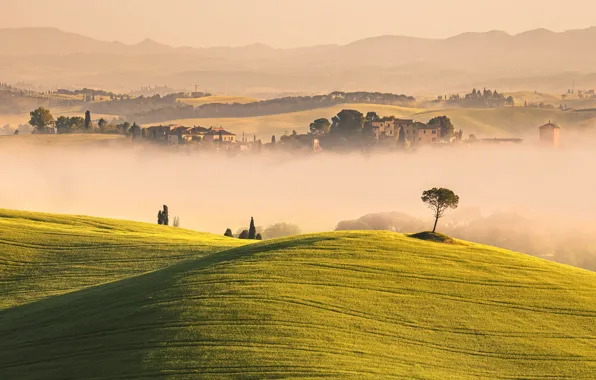 Field, fog, hills, Italy, Tuscany