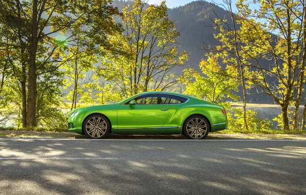 Bentley, Continental, Trees, Green, Car, Suite, Side view