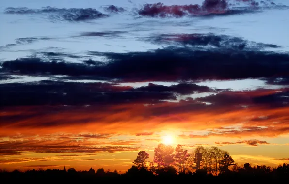 The sky, the sun, clouds, sunset, the evening