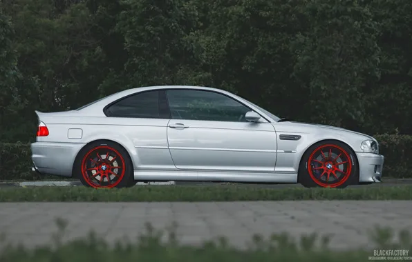 Forest, asphalt, BMW, BMW, grey, E46