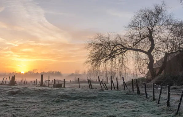 Picture frost, field, autumn, the sky, grass, the sun, clouds, light