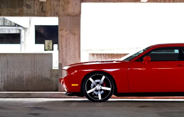 Picture Red, Auto, Machine, Wheel, Dodge, Dodge, Challenger, SRT-8