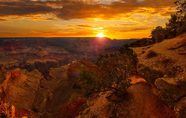 The sky, the sun, clouds, rays, trees, stones, rocks, dawn