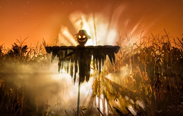 Picture holiday, Halloween, Lord of the Corn