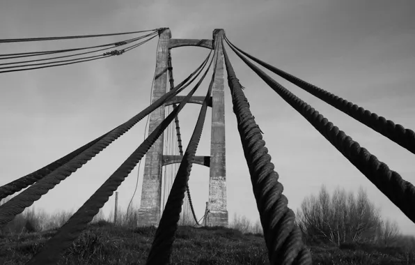 Bridge, Bush, Black And White, Ropes
