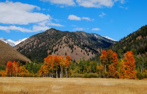 Autumn, the sky, clouds, trees, mountains