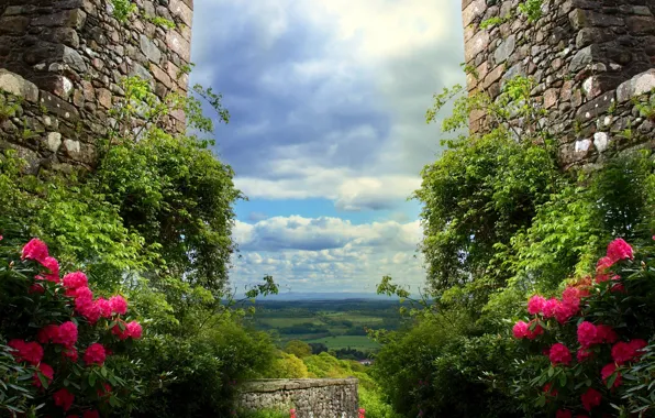 Picture the sky, clouds, flowers, wall, Nature, ruins, sky, landscape