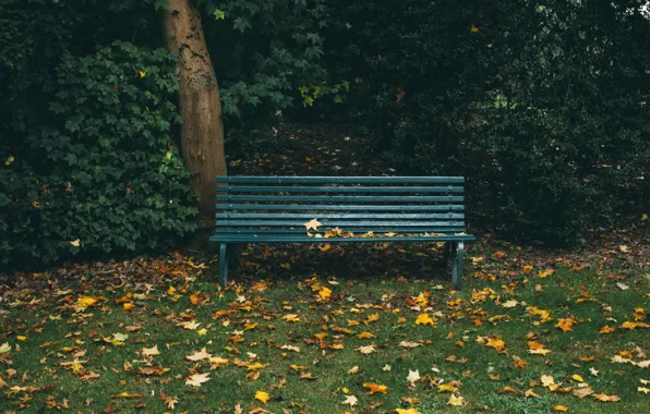 Autumn, leaves, bench, Park, bench