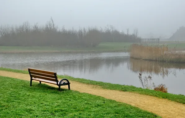 Grass, fog, shop, channel, Park, bench