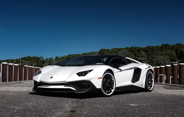 Picture Lamborghini, Black, Aventador, Satin, HRE, whit, S201