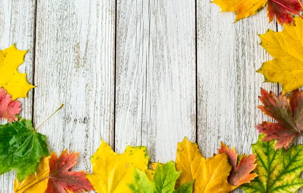 Wallpaper autumn, leaves, background, colorful, rainbow, maple, wood ...