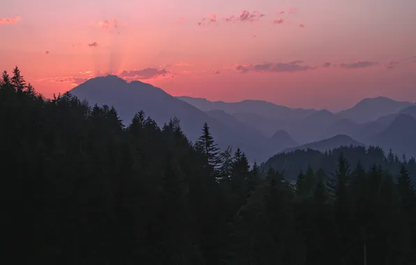 Forest, the sky, clouds, trees, mountains, nature, dawn, Austria