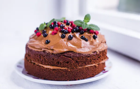 Berries, blueberries, strawberries, cake, decoration, cream, dessert, chocolate