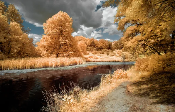 Autumn, nature, river