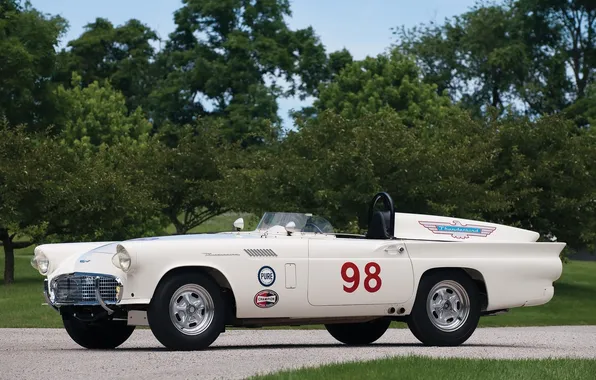 Picture Car, Race, 1957, Thunderbird, Experimental