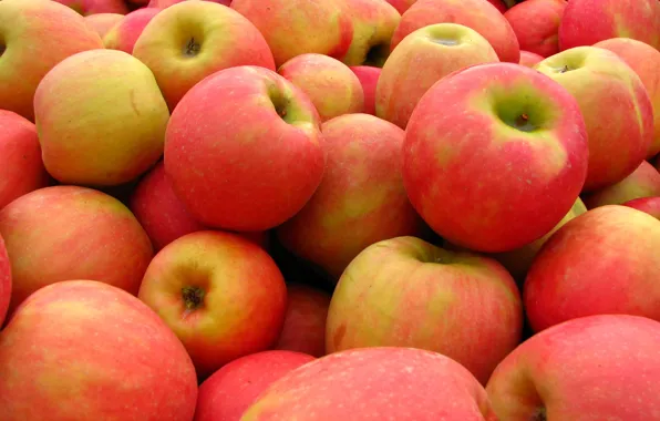 Picture apples, texture, harvest, fruit