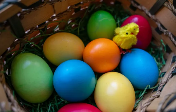 Yellow, holiday, bright, toy, eggs, spring, Easter, chicken