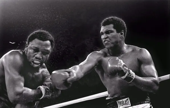 Picture blow, Trilla in Manila, Muhammad Ali, 1975, 3 battle, Joe Frazier