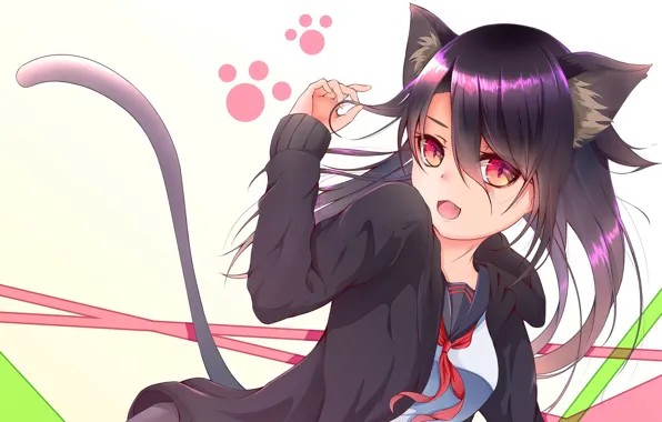 Anime, art, girl, neko, kitty