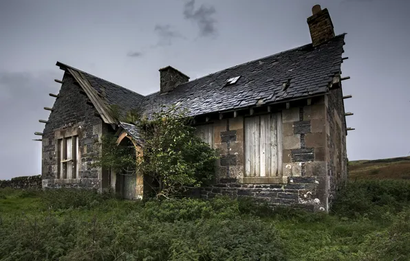 The sky, nature, house