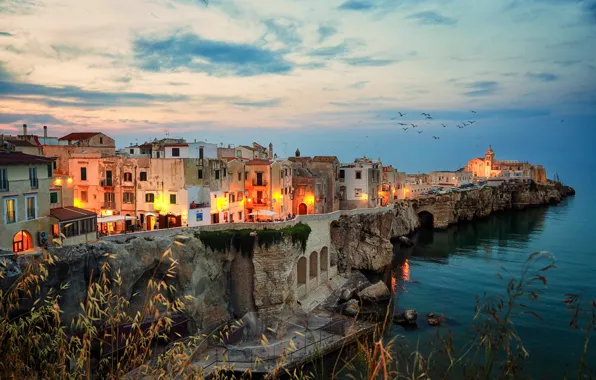 Picture sea, landscape, the city, rock, home, the evening, lighting, Italy