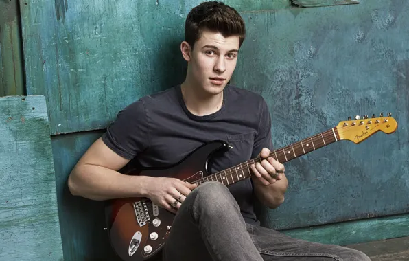 Picture guitar, guy, Seventeen, Shawn Mendes