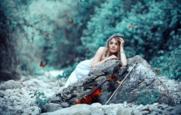 Picture girl, violin, bow, Butterflies, Alessandro Di Cicco