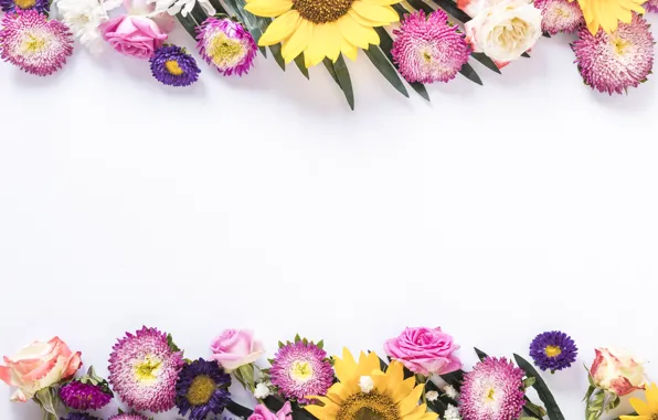 Picture flowers, background, colorful, flowers