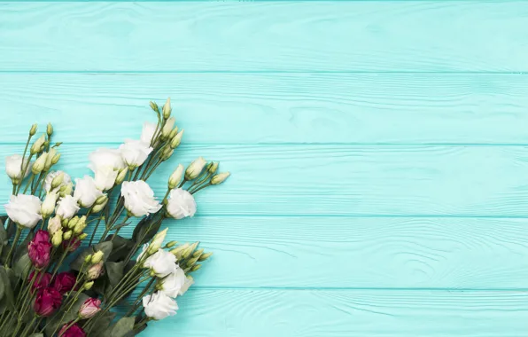 Picture white, flowers, background, blue, bouquet, Burgundy, eustoma