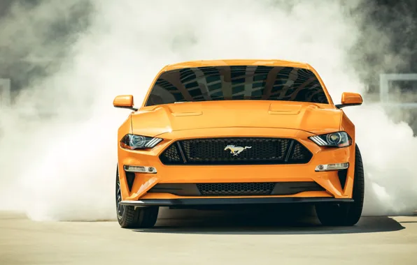 Smoke, Ford, 2018, Mustang GT, Fastback Sports