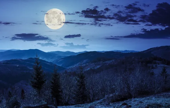 Picture mountains, trees, the moon, night, forest, the sky, clouds