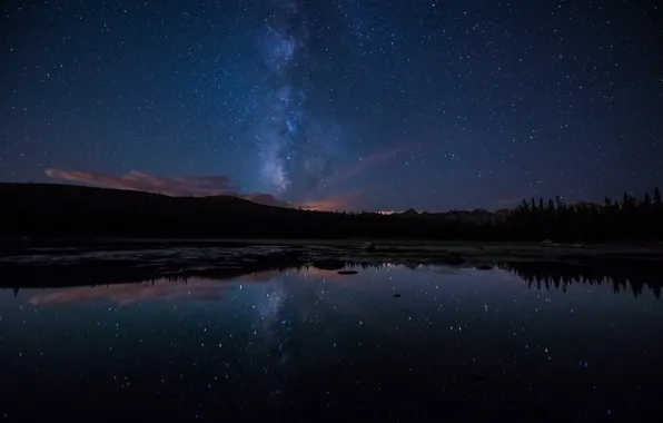 Forest, stars, night, lake, reflection, the milky way