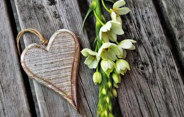 Flowers, Holiday, heart, Valentine's day
