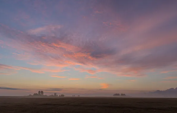 Picture the sky, clouds, landscape, nature, horizon