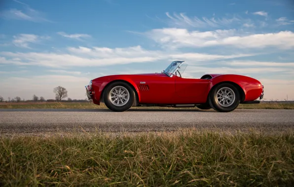 Picture Shelby, Cobra, 1966, side view, Shelby Cobra 427